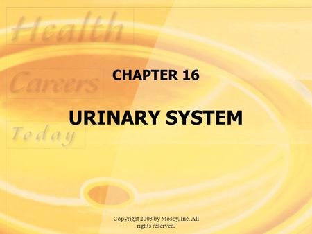 CHAPTER 16 URINARY SYSTEM