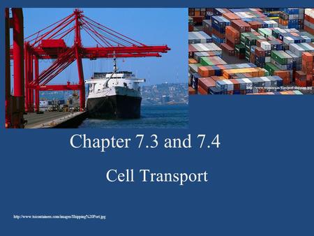 Chapter 7.3 and 7.4 Cell Transport