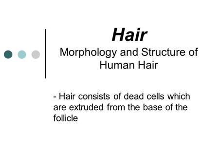 Hair Morphology and Structure of Human Hair - Hair consists of dead cells which are extruded from the base of the follicle.