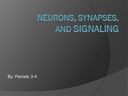 Neurons, Synapses, and signaling