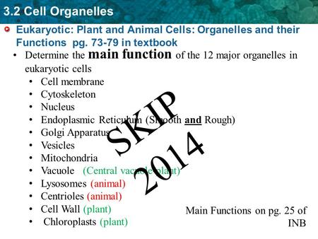 Eukaryotic: Plant and Animal Cells: Organelles and their Functions pg