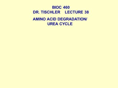 BIOC 460 DR. TISCHLER LECTURE 38 AMINO ACID DEGRADATION/ UREA CYCLE.