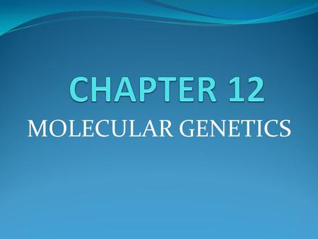 CHAPTER 12 MOLECULAR GENETICS.