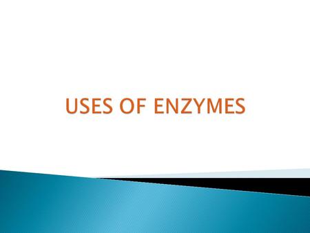 USES OF ENZYMES.