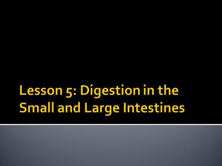 Lesson 5: Digestion in the Small and Large Intestines