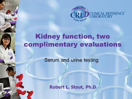 Kidney function, two complimentary evaluations Serum and urine testing Robert L. Stout, Ph.D.