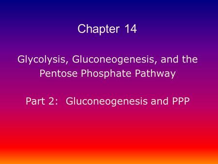 Glycolysis, Gluconeogenesis, and the Pentose Phosphate Pathway Part 2: Gluconeogenesis and PPP Chapter 14.