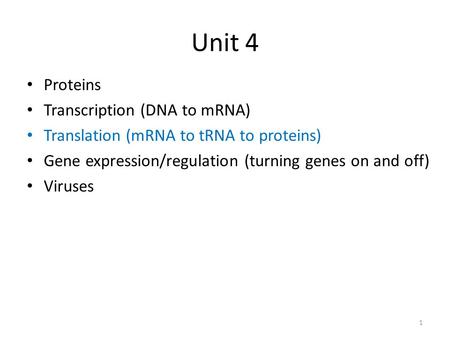 Unit 4 Proteins Transcription (DNA to mRNA) Translation (mRNA to tRNA to proteins) Gene expression/regulation (turning genes on and off) Viruses 1.