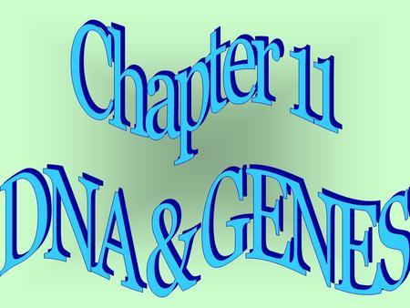 Chapter 11 DNA & GENES.