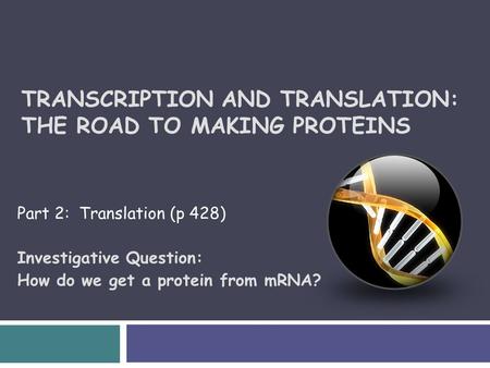 TRANSCRIPTION AND TRANSLATION: THE ROAD TO MAKING PROTEINS Part 2: Translation (p 428) Investigative Question: How do we get a protein from mRNA?