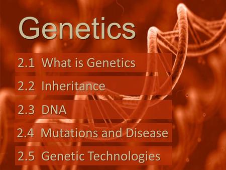 Genetics 2.1 What is Genetics 2.1 What is Genetics 2.2 Inheritance 2.2 Inheritance 2.3 DNA 2.3 DNA 2.4 Mutations and Disease 2.4 Mutations and Disease.