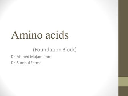 Amino acids (Foundation Block) Dr. Ahmed Mujamammi Dr. Sumbul Fatma.
