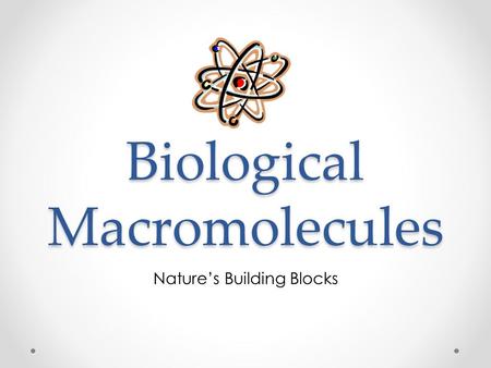 Biological Macromolecules Nature’s Building Blocks.