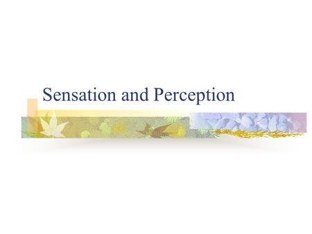 Sensation and Perception. Defining Sensation and Perception Sensation The detection of physical energy emitted or reflected by physical objects. It occurs.