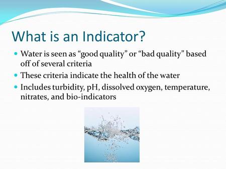 What is an Indicator? Water is seen as “good quality” or “bad quality” based off of several criteria These criteria indicate the health of the water Includes.