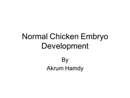 Normal Chicken Embryo Development By Akrum Hamdy.