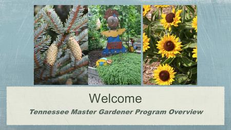 Welcome Tennessee Master Gardener Program Overview.