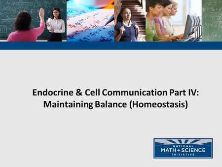 Endocrine & Cell Communication Part IV: