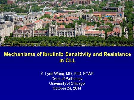 Mechanisms of Ibrutinib Sensitivity and Resistance in CLL Y. Lynn Wang, MD, PhD, FCAP Dept. of Pathology University of Chicago October 24, 2014.