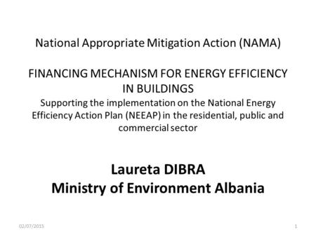 National Appropriate Mitigation Action (NAMA) FINANCING MECHANISM FOR ENERGY EFFICIENCY IN BUILDINGS Supporting the implementation on the National Energy.