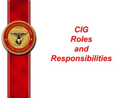 CIG Roles and Responsibilities. CIG “A&I” Primary Functions Manage CIG Hotline Program – FA 316 Report Senior Official Complaints Conduct Military Reprisal.