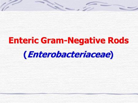 Enteric Gram-Negative Rods