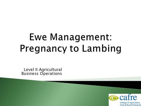 Level II Agricultural Business Operations.  Appropriate management and nutrition to achieve optimum performance from  The pregnant ewe  Lactating ewe.