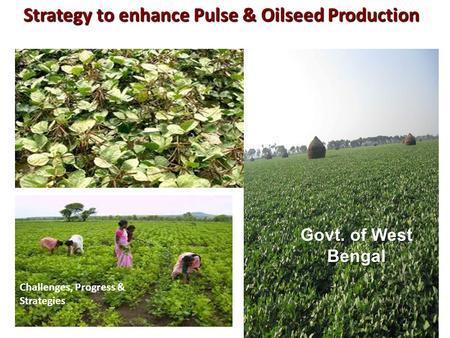Strategy to enhance Pulse & Oilseed Production Challenges, Progress & Strategies Govt. of West Bengal.