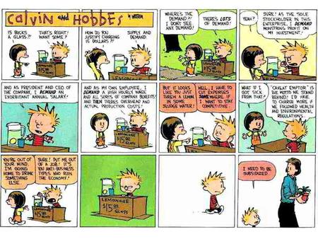 Calvin and Hobbes Questions