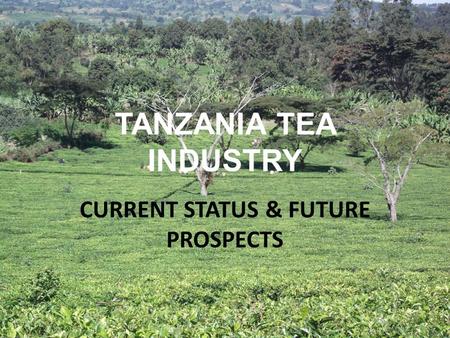 TANZANIA TEA INDUSTRY CURRENT STATUS & FUTURE PROSPECTS.
