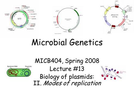 Microbial Genetics MICB404, Spring 2008 Lecture #13 Biology of plasmids: II. Modes of replication.