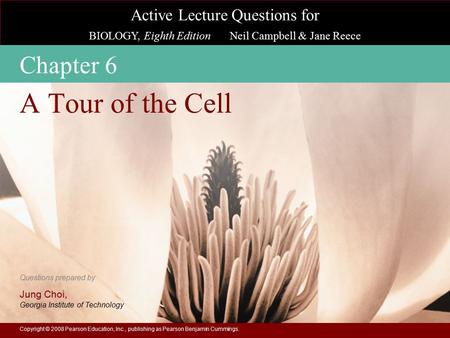 A Tour of the Cell Chapter 6