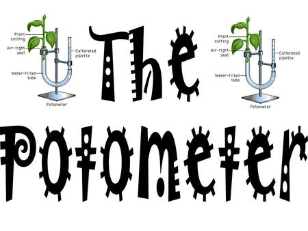 The Potometer.