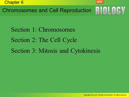 Section 2: The Cell Cycle