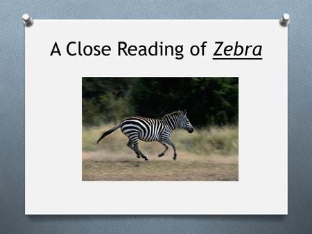 A Close Reading of Zebra. Just what is close reading?