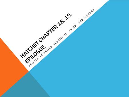 Hatchet chapter 18, 19, Epilogue