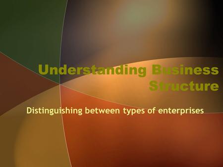 Understanding Business Structure Distinguishing between types of enterprises.