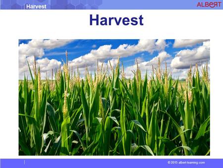 Harvest © 2015 albert-learning.com Harvest. © 2015 albert-learning.com Harvest Harvest is the process of gathering mature crops from the fields. Reaping.