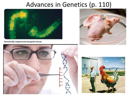 Advances in Genetics (p. 110)
