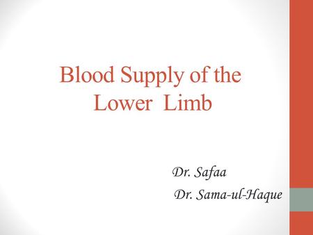 Blood Supply of the Lower Limb
