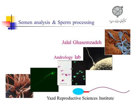 Semen analysis & Sperm processing