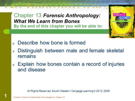 Chapter 13 Forensic Anthropology: What We Learn from Bones By the end of this chapter you will be able to: Describe how bone is formed Distinguish.