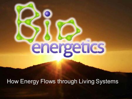 How Energy Flows through Living Systems