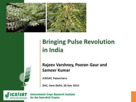 Bringing Pulse Revolution in India Rajeev Varshney, Pooran Gaur and Sameer Kumar ICRISAT, Patancheru DAC, New Delhi, 26 Nov 2014.