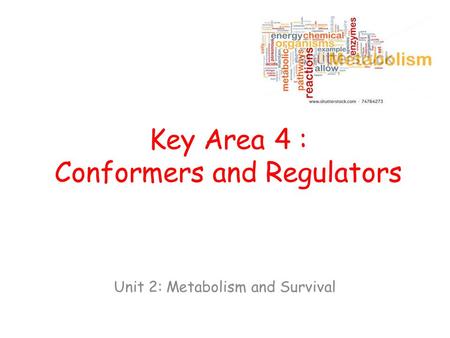 Key Area 4 : Conformers and Regulators