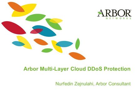 Arbor Multi-Layer Cloud DDoS Protection