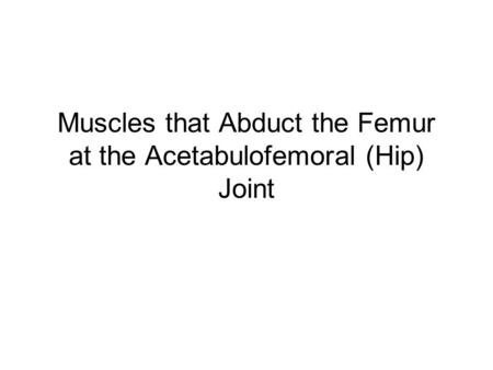 Muscles that Abduct the Femur at the Acetabulofemoral (Hip) Joint