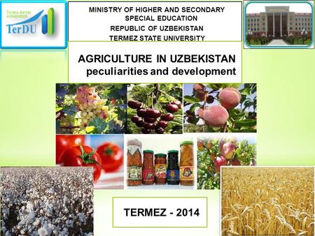 MINISTRY OF HIGHER AND SECONDARY SPECIAL EDUCATION REPUBLIC OF UZBEKISTAN TERMEZ STATE UNIVERSITY AGRICULTURE IN UZBEKISTAN peculiarities and development.