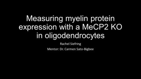 Measuring myelin protein expression with a MeCP2 KO in oligodendrocytes Rachel Siefring Mentor: Dr. Carmen Sato-Bigbee.