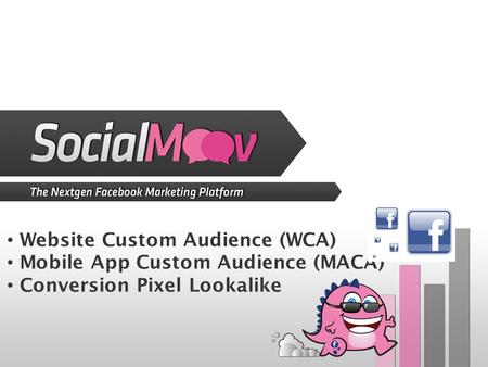 Website Custom Audience (WCA) Mobile App Custom Audience (MACA) Conversion Pixel Lookalike.